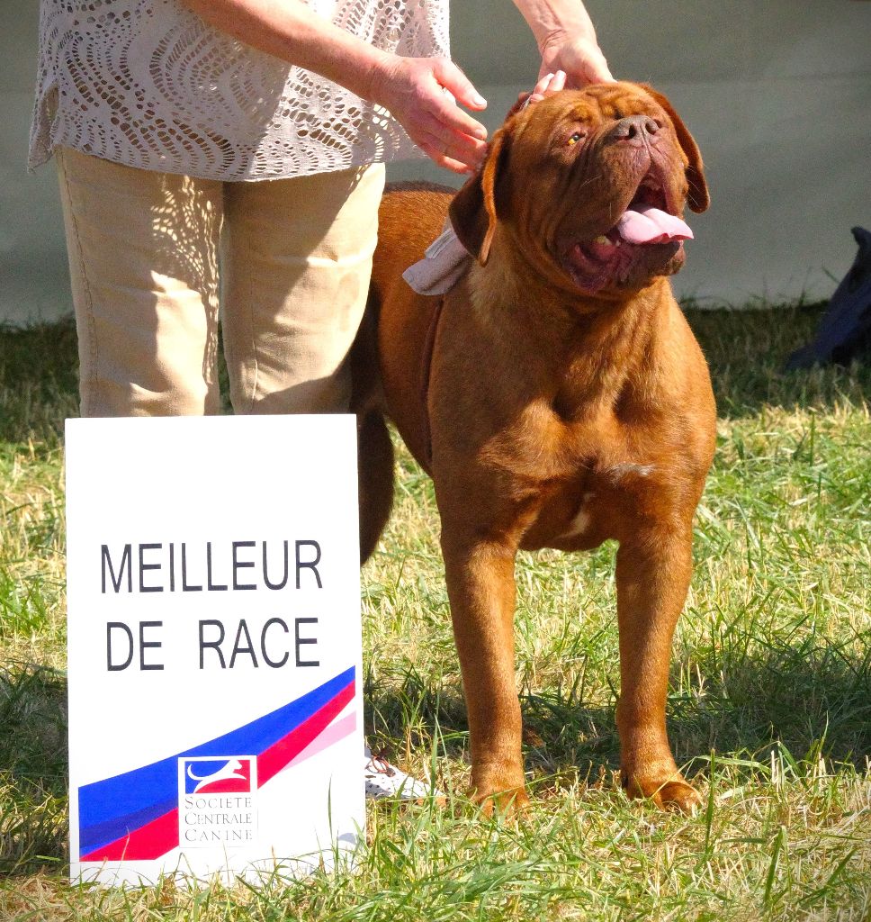 du domaine des Rouvres - SOLE MIO élue MEILLEUR DE RACE au CHAMPIONNAT DE FRANCE 2023